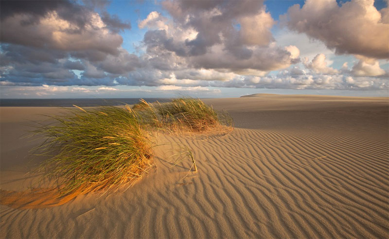 White sand dunes of the Curonian Spit White sand dunes of the Curonian Spit